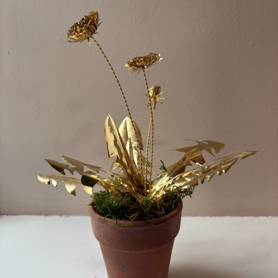 Hand crafted brass Dandelion Hand crafted brass Dandelion